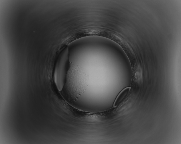X0000095940620200801111331