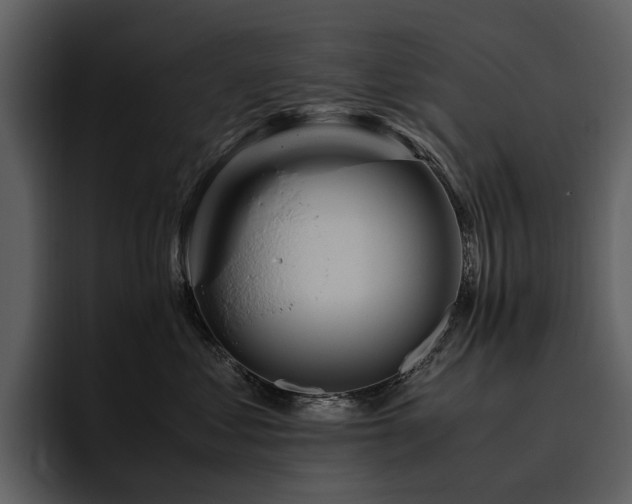 X0000095940621200801111331