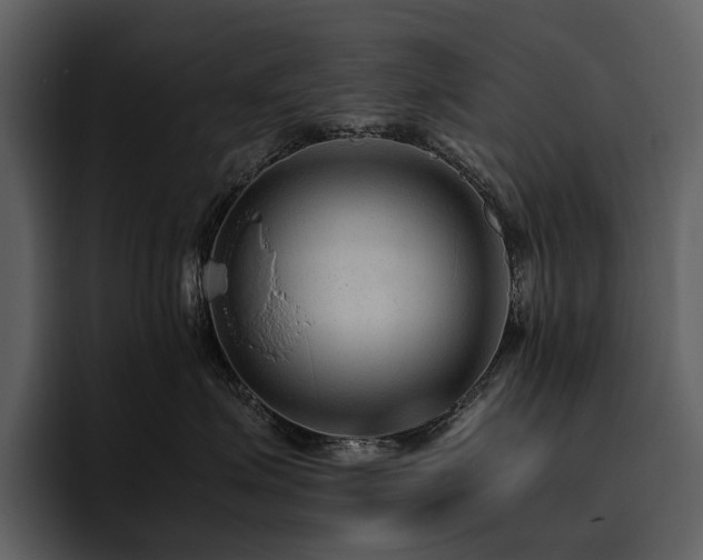 X0000095940623200801111331
