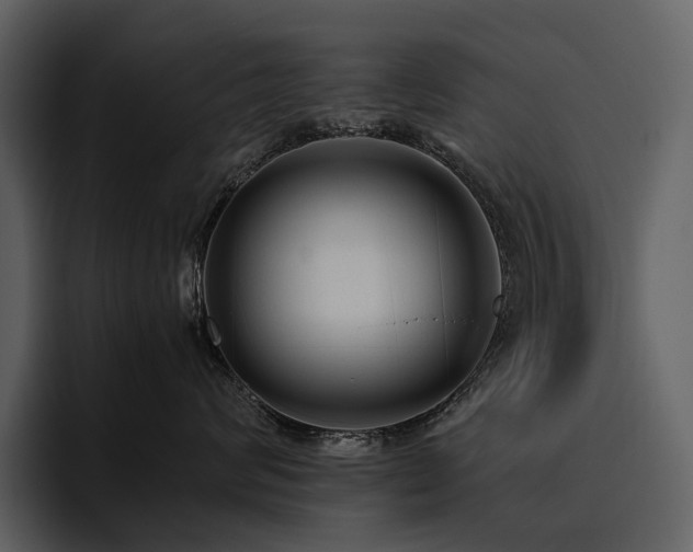X0000095940624200801111331