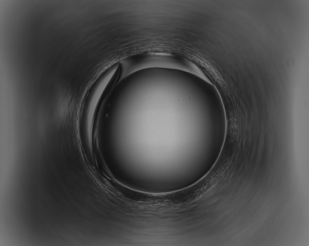 X0000095940626200801111330