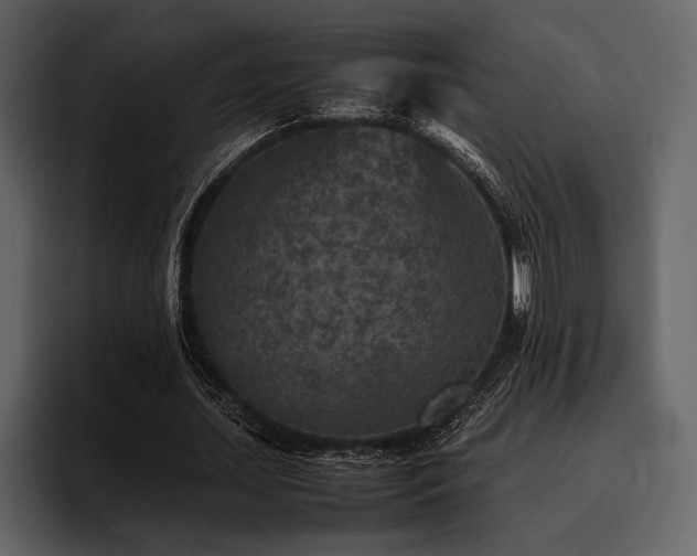 X0000095940627200801111330
