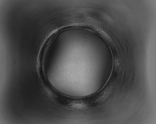 X0000095940628200801111330