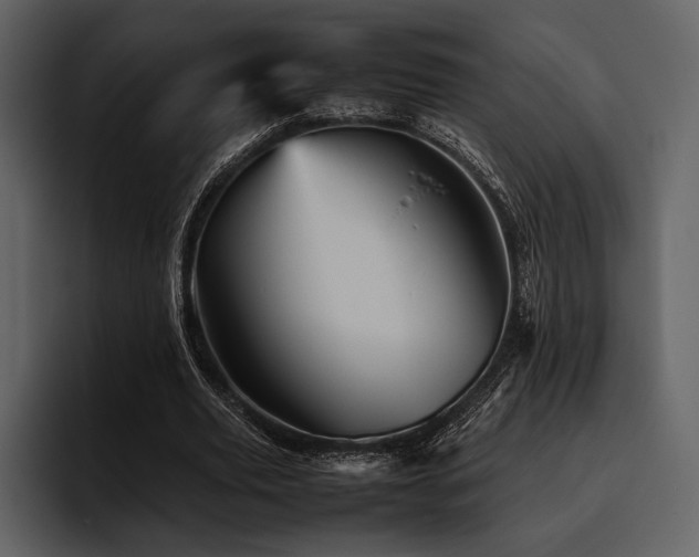 X0000095940629200801111330
