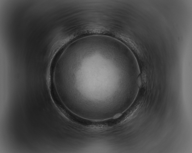 X0000095940630200801111330