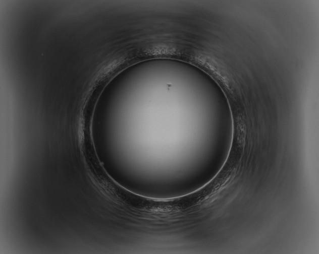 X0000095940631200801111330