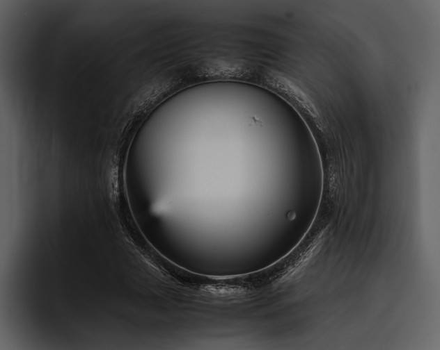 X0000095940633200801111330