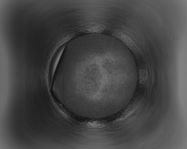 X0000095940634200801111330