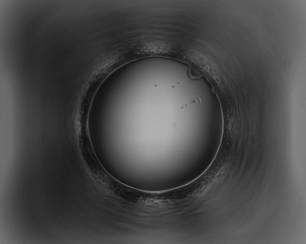 X0000095940635200801111330