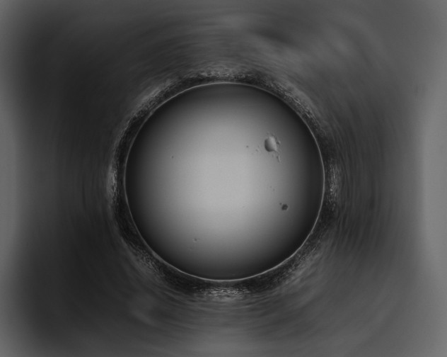 X0000095940636200801111330