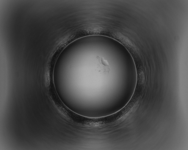X0000095940638200801111330