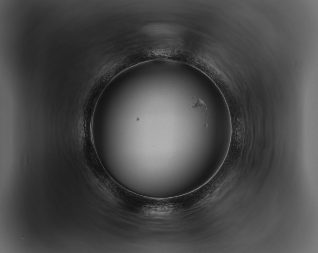 X0000095940639200801111330
