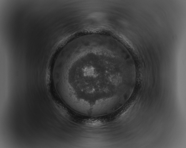 X0000095940640200801111330