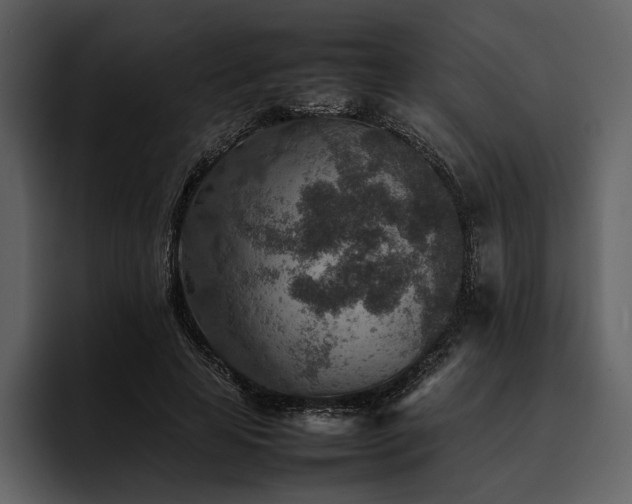 X0000095940641200801111330