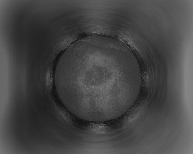 X0000095940642200801111331