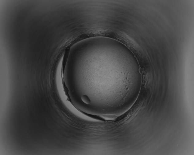 X0000095940644200801111331
