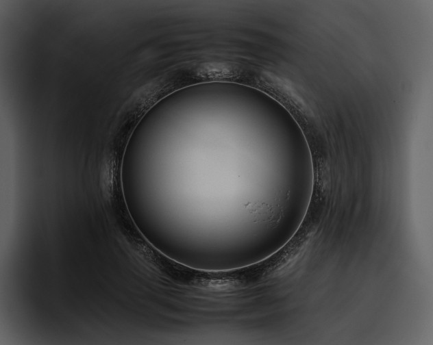 X0000095940645200801111331