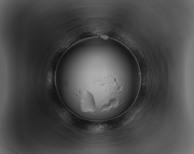 X0000095940646200801111331