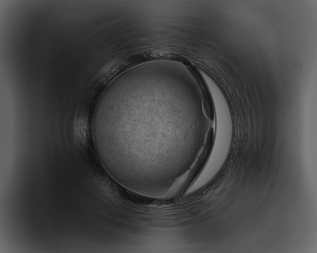 X0000095940648200801111331