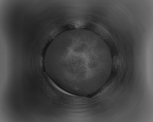 X0000095940650200801111331