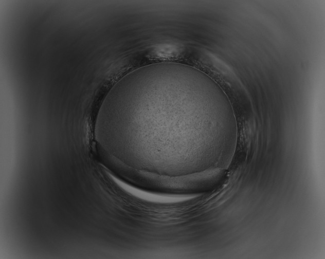 X0000095940651200801111331