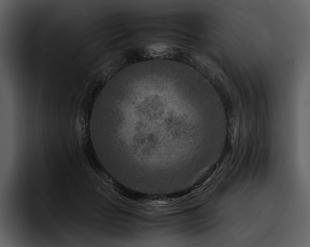 X0000095940653200801111331