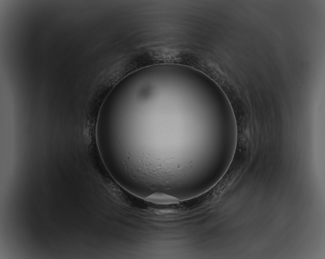 X0000095940658200801111331