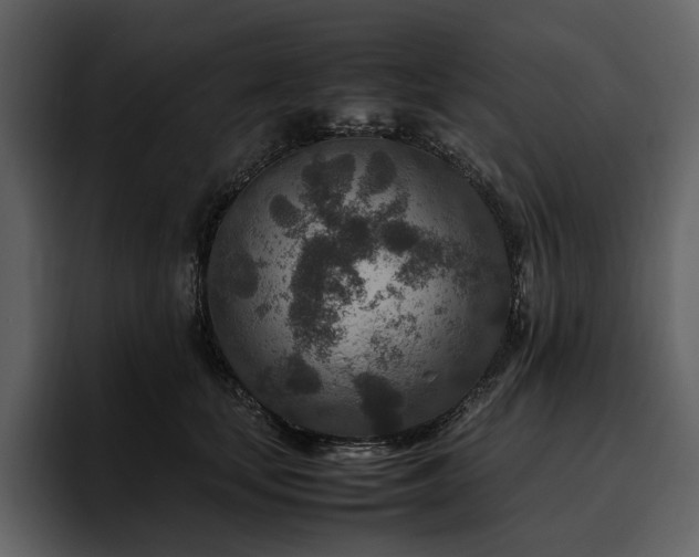 X0000095940659200801111331