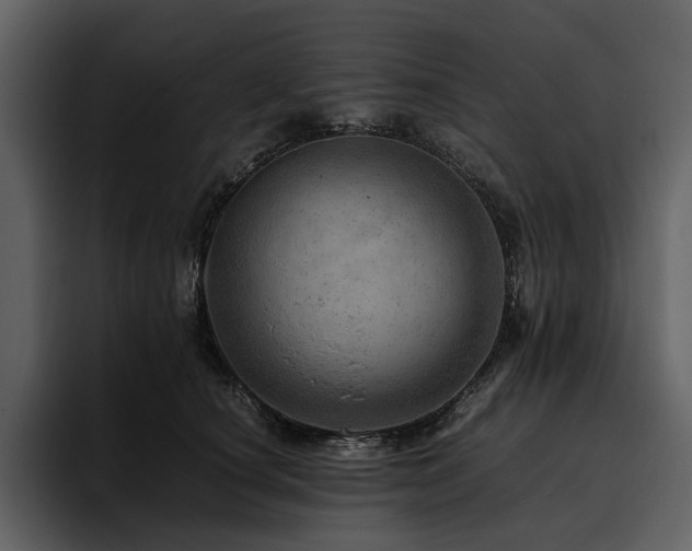 X0000095940660200801111331