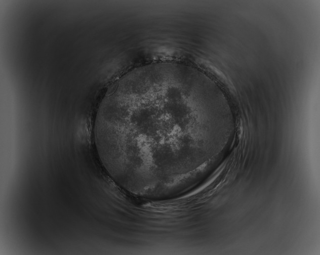 X0000095940661200801111331