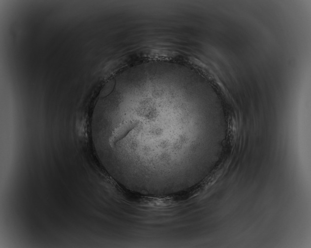 X0000095940663200801111331
