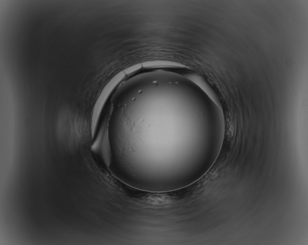 X0000095940666200801111331
