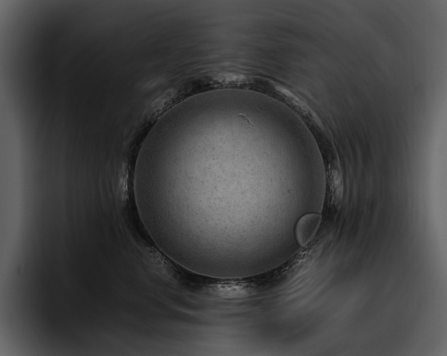 X0000095940668200801111331