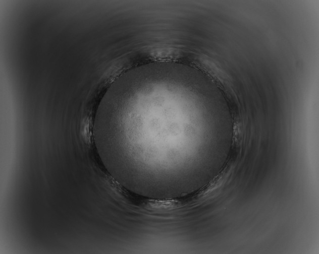 X0000095940671200801111331