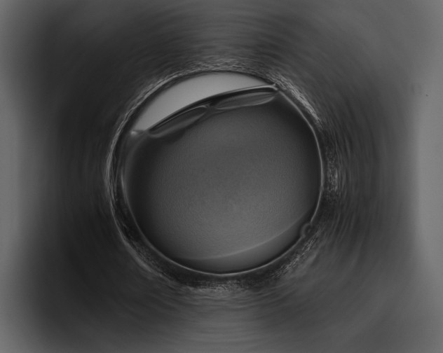 X0000095940674200801111330