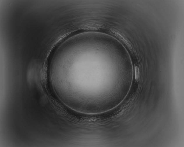 X0000095940675200801111330
