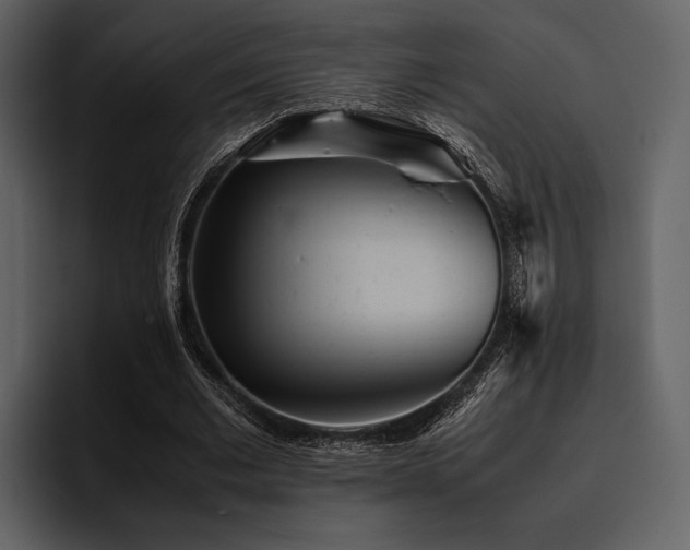 X0000095940677200801111330