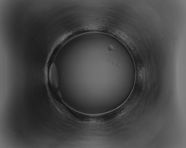 X0000095940678200801111330