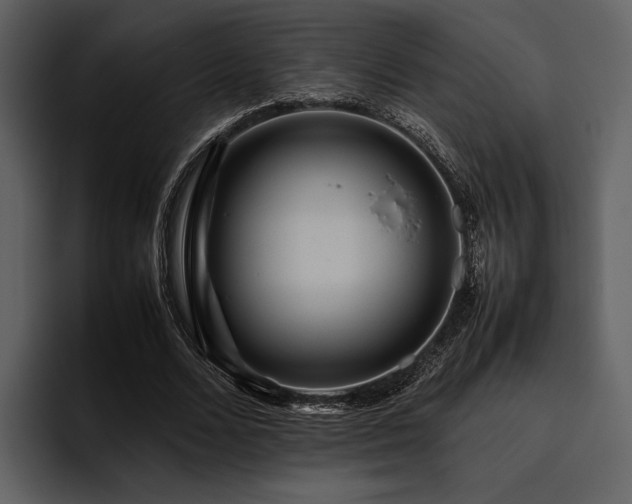 X0000095940680200801111330