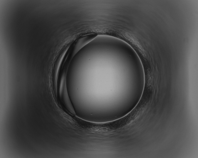 X0000095940681200801111330