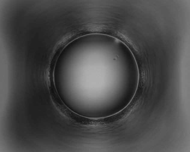 X0000095940682200801111330