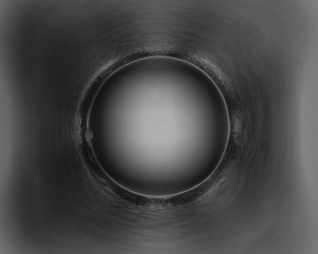 X0000095940684200801111330