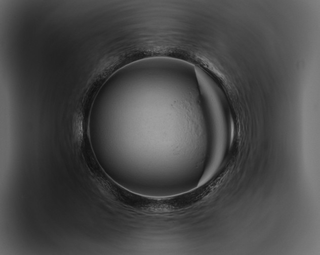 X0000095940685200801111330