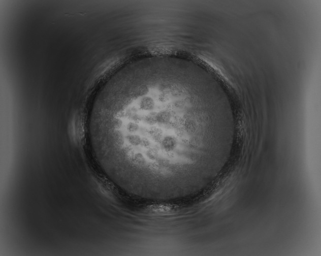 X0000095940687200801111330