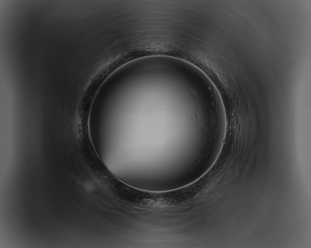 X0000095940688200801111330