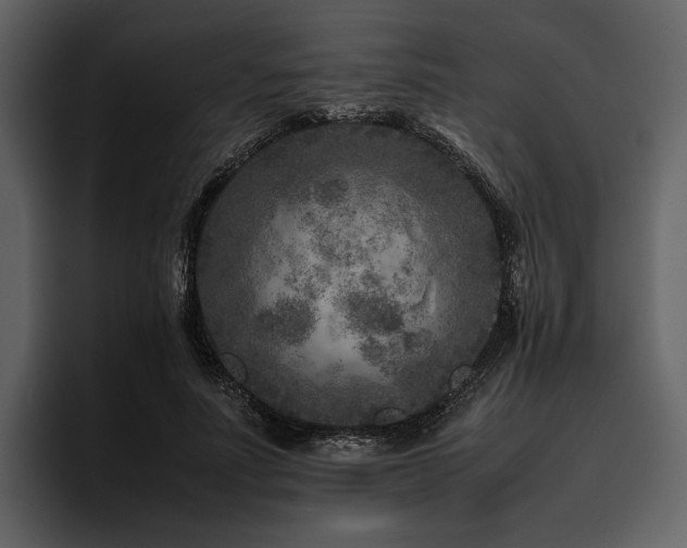X0000095940691200801111330