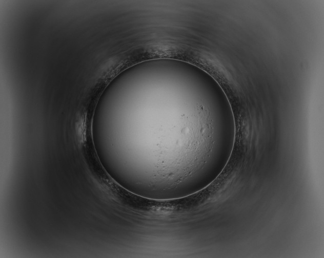 X0000095940694200801111330