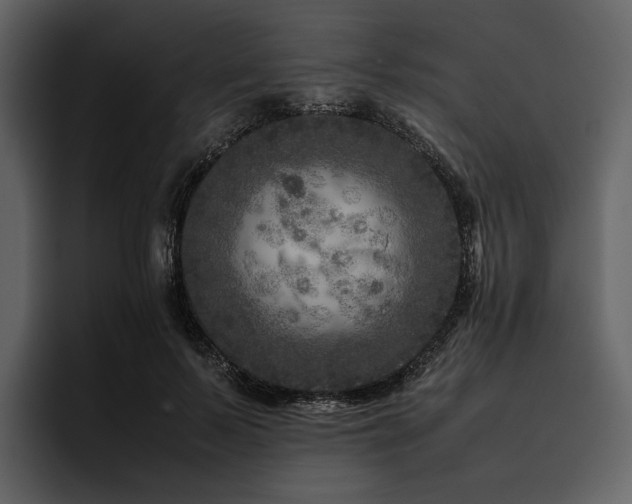 X0000095940695200801111330