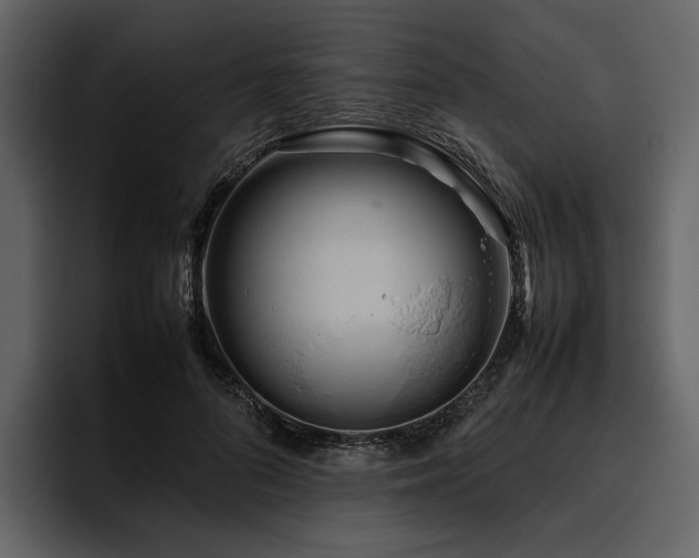 X0000095940696200801111330