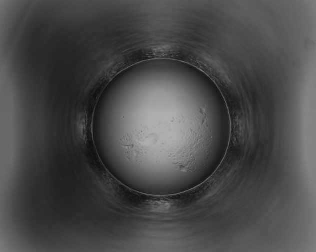 X0000095940698200801111330